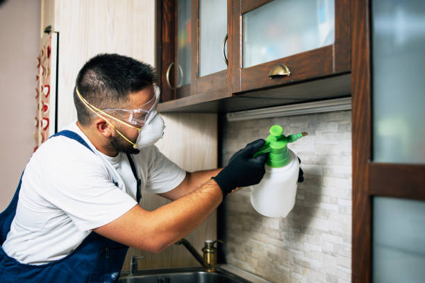 Best Pest Control Near Me  in Evanston, IL