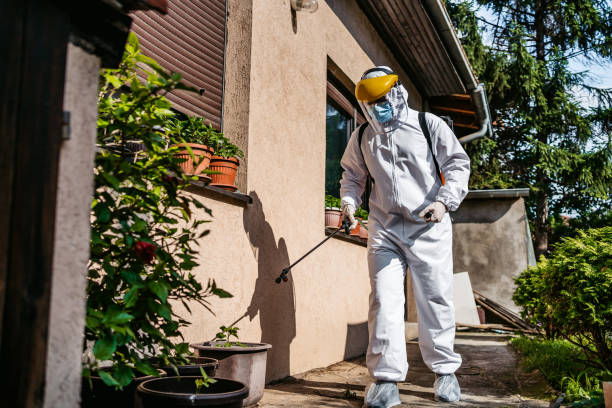 Flea Control Services in Evanston, IL
