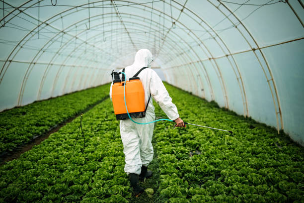 Best Pest Prevention Services  in Evanston, IL