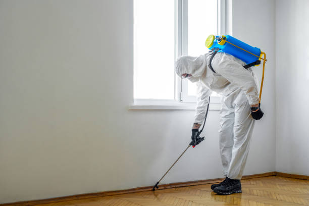 Best Best Pest Control Companies  in Evanston, IL