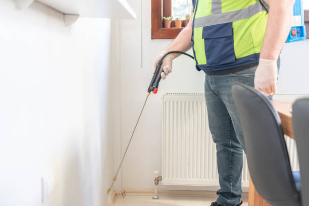 Best Pest Control Near Me in Evanston, IL