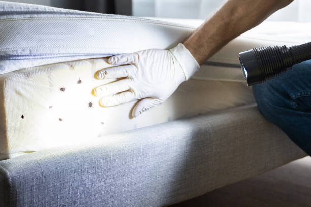 Best Exterminator Services  in Evanston, IL