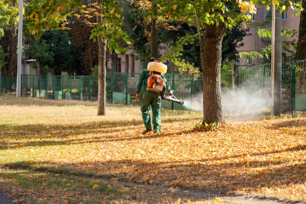 Best Pest Inspection Near Me  in Evanston, IL