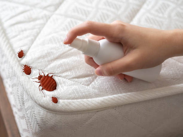 Best Insect Control  in Evanston, IL