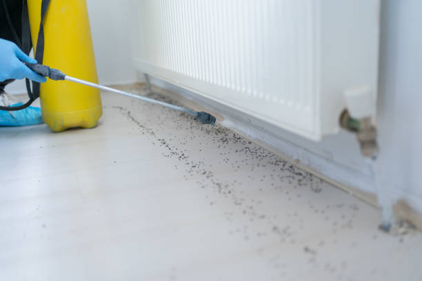 Best Affordable Pest Control Services  in Evanston, IL
