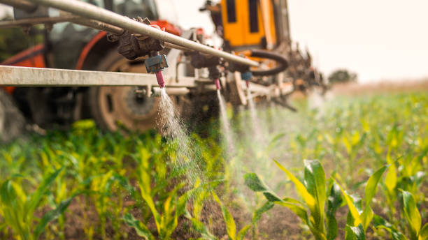 Best Ant Control Services  in Evanston, IL