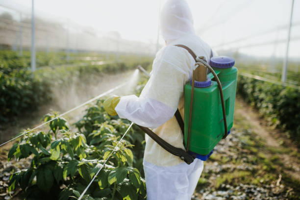 Best Pest Inspection Near Me  in Evanston, IL